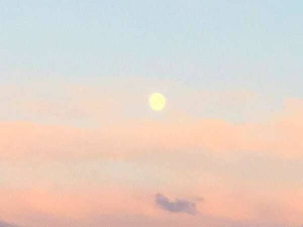 NAM PREM KYOGA la newsletter Mars 2018