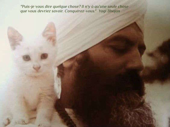 Les 7 marches vers le bonheur