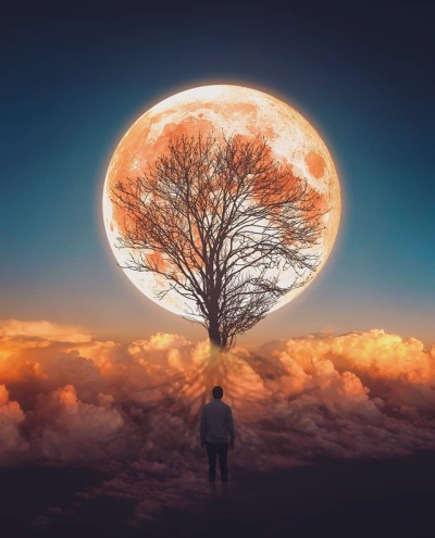 Newsletter Novembre 2019