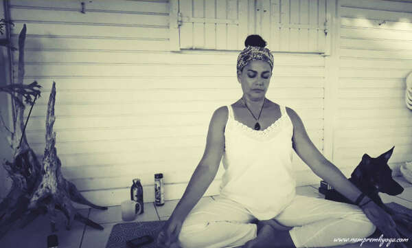 La Transmission de Cerbère - Février 2021