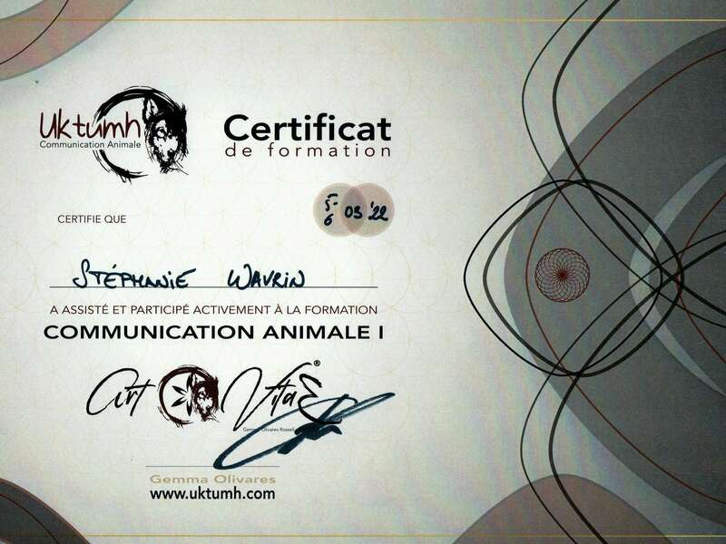 communication_animale_niv_i