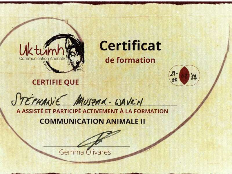 communication_animale_niv_ii