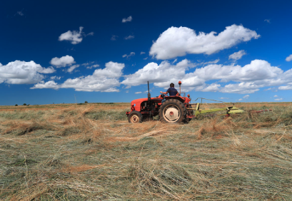 Zoom sur l’arrêt du 29-01-2026 (24-20.852) de la troisième chambre civile de la cour de cassation-cassation totale : OPPOSABILITE OU INOPPOSABILITE D'UN BAIL RURAL CONSENTI PAR UN SEUL INDIVISAIRE ?