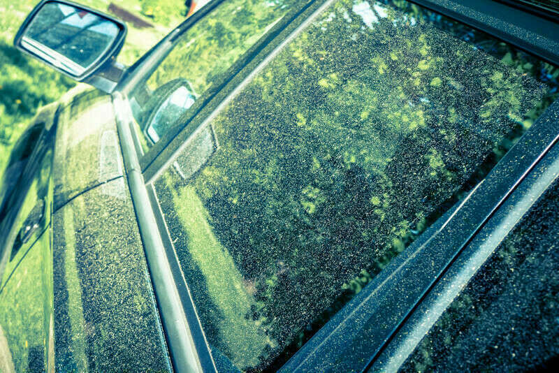Pollen sur les voitures :  le printemps est là, CosmétiCar aussi !