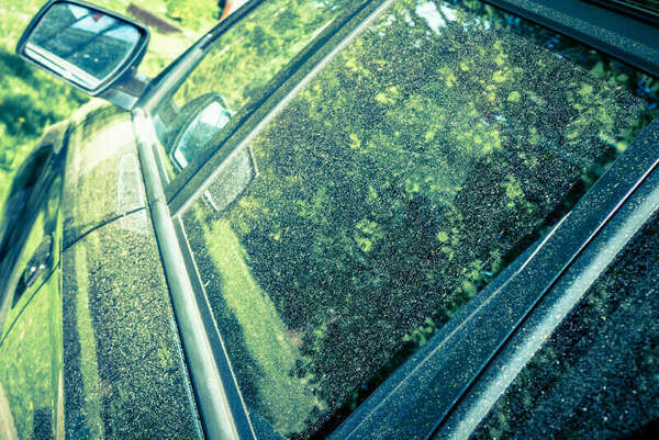 Pollen sur les voitures :  le printemps est là, CosmétiCar aussi !