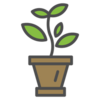 picto plante