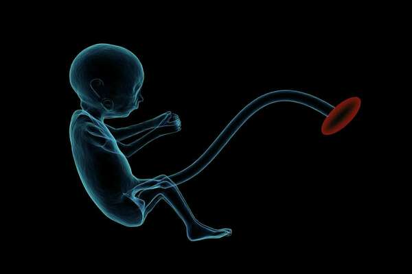 placenta femme enceinte ostéopathe