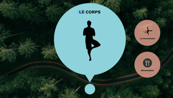 formation bien etre dirigeant et collaborateur osteo versailles