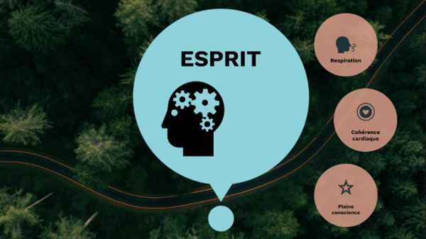  respiration cohérence cardiaque pleine conscience