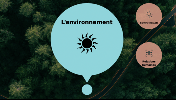 environnement bien etre du dirigeant et collaborateur conseils osteopathe