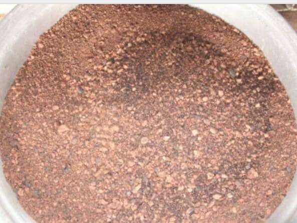 Amandes de karité concassées et torréfiées. La torréfaction permet de libérer l'huile des autres composantes cellulaires (protéines, amidon).