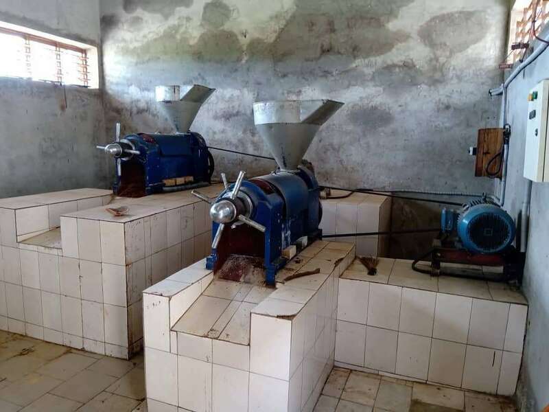 Transformation du beurre de karité au Bénin par un jeune entrepreneur.