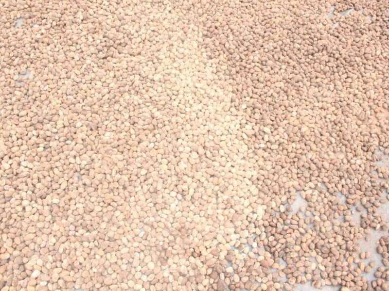 Transformation du beurre de karité au Bénin par un jeune entrepreneur.