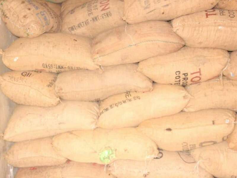 Transformation du beurre de karité au Bénin par un jeune entrepreneur.