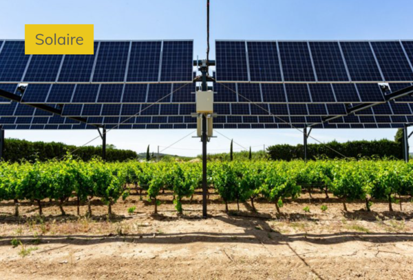 Boffa en Guinée : l'innovation au service de l’environnement et des populations locales 