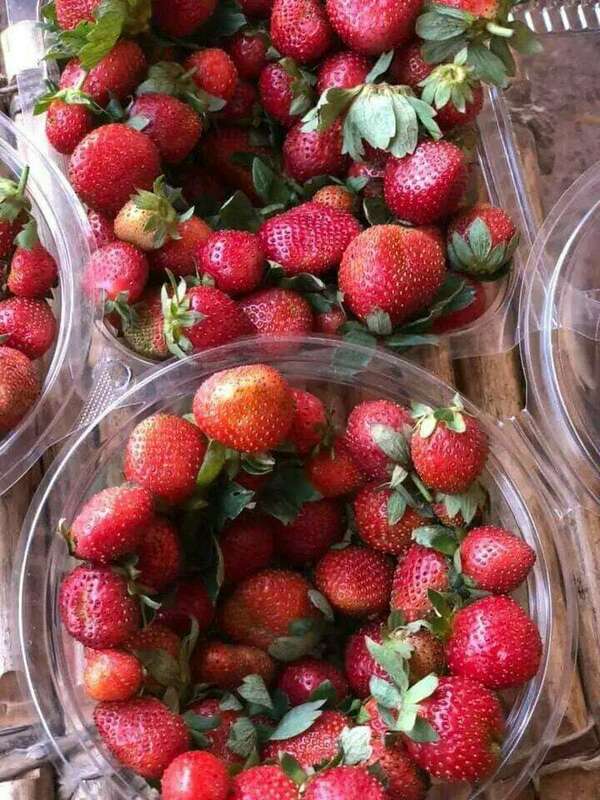 Entrepreneuriat social au Mali : des solutions innovantes contre les problèmes sociaux