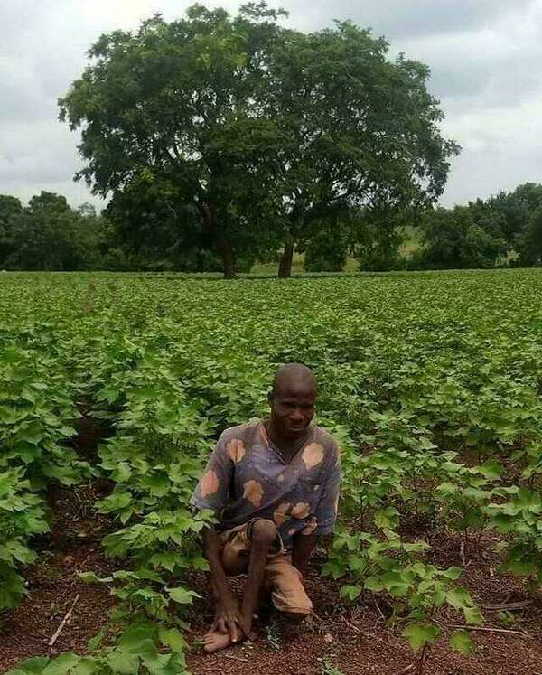 Burkina Faso : malgré son handicap, Lahoua Dibiko cultive le coton