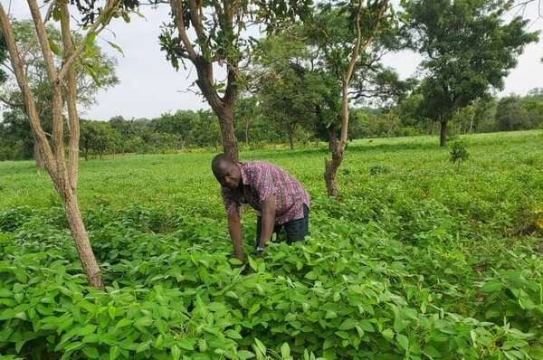 Fidel Kouessi Noutéhou : « mon père m’a donné envie d’agir dans l’entrepreneuriat agricole et l’agriculture durable »