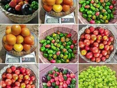 307643688_5498271043594673_3177797782427867365_n