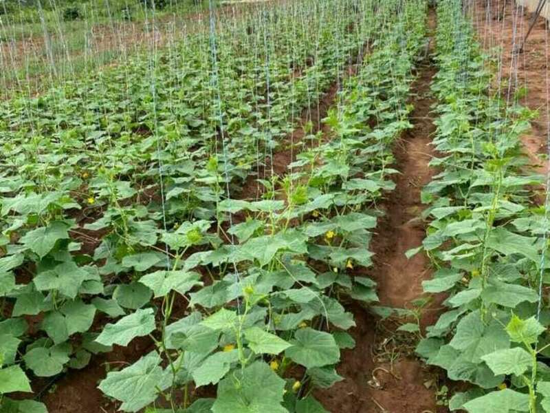 307160463_5498193123602465_5303496271777702334_n