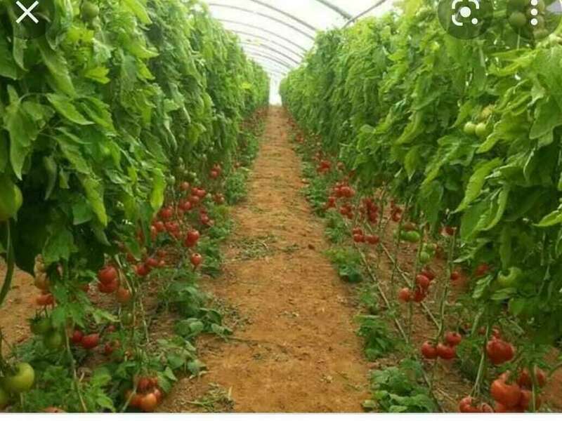 306589581_5498271466927964_3456123563834529982_n