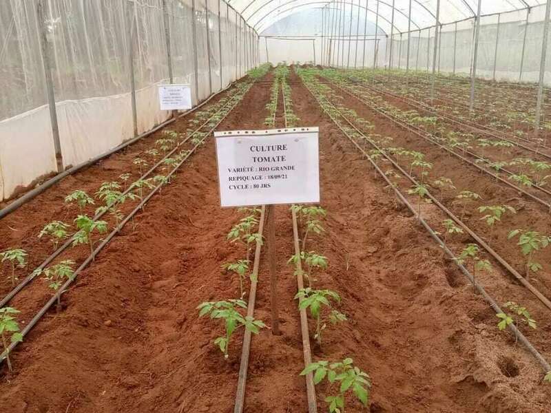 306357198_5498191933602584_7468656312331900909_n