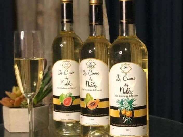 312563176_1780193725670459_7730524387737754548_n