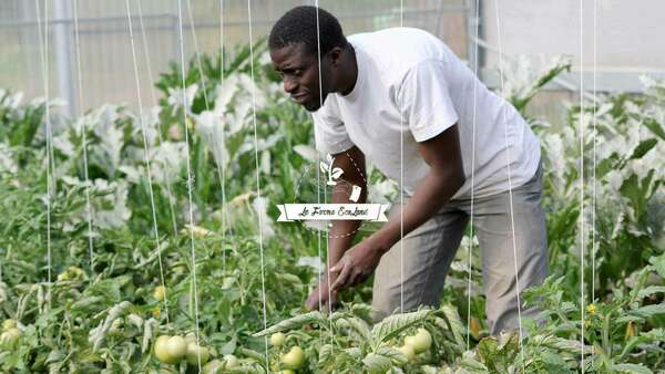 Ferme EcoLand : former une nouvelle génération d’entrepreneurs agricoles