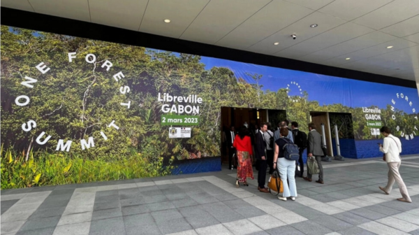 One Forest Summit : assurer une gestion durable des forêts tropicales