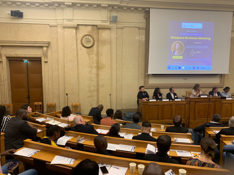 diaspora_business_meeting_13