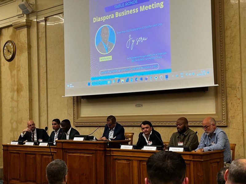diaspora_business_meeting_7