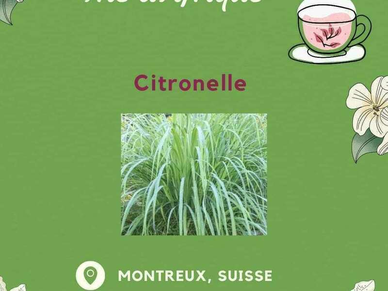 whatsapp_image_2024-02-17_at_17-01-42__2_