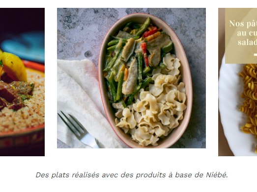 capture_d_ecran_16-1-2025_21561_afoupagroindustriel