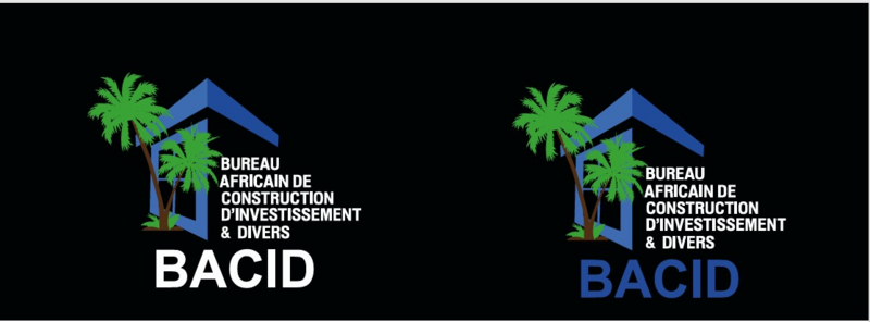 BACID, bâtisseur d’avenir : des solutions immobilières durables au ...