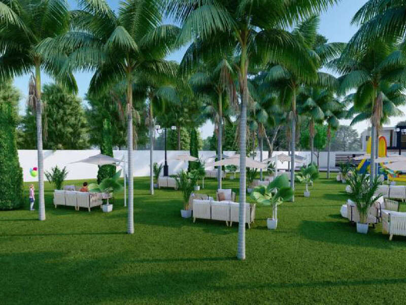 cedres_plan_de_travail_1_copie