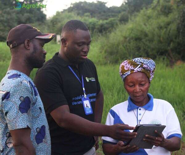 AgroSfer : quand la traçabilité digitale redonne confiance et valeur aux filières agricoles africaines