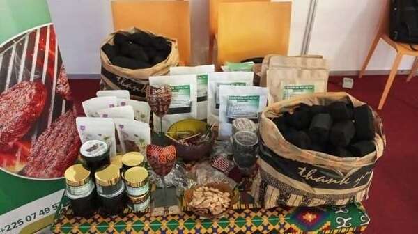 De déchets agricoles à énergie propre : La Reine Écolo, quand l’écologie devient une solution économique et sociale en Afrique