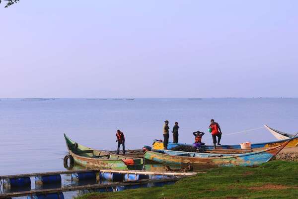 Aquarech LTD : accompagner les petits et moyens pisciculteurs vers la rentabilité