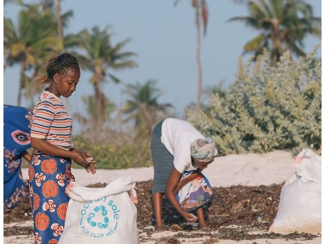 capture_d_ecran_21-1-2026_15327_www-oceansole-org