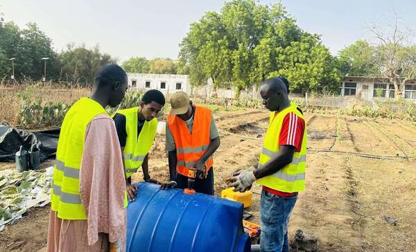 Cactus Innovation : une réponse concrète aux défis agricoles et climatiques