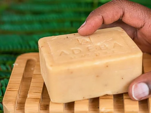 capture_d_ecran_1-2-2026_134438_adebanature