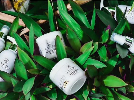 capture_d_ecran_1-2-2026_134359_adebanature