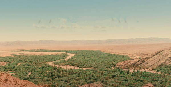 Sand to Green : transformer les déserts marocains en vergers productifs et durables