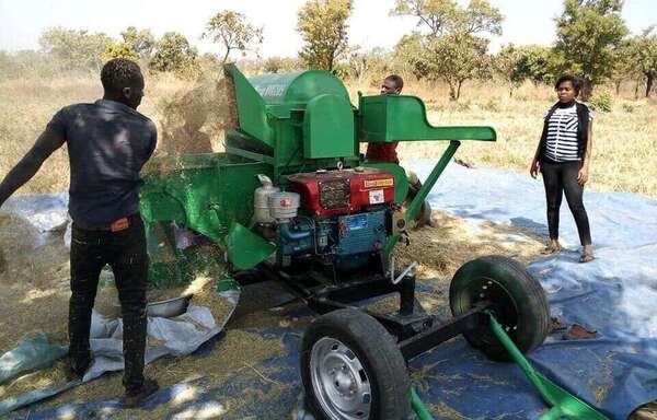 Appcereal : la solution agritech qui modernise et sécurise les filières céréalières 