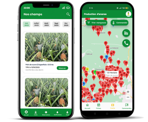 Prédire, tracer, vendre : la révolution AgriTech de Biolife Tech 
