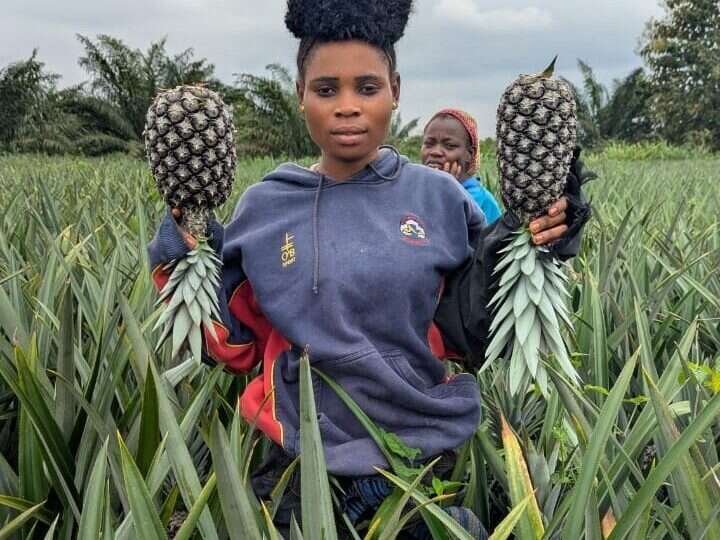 img_3960-e1764336131117