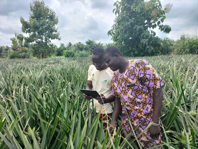 photo-terrain-scaled