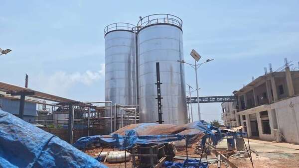 International Oils & Fats : le pari industriel du karité pour transformer l’économie ouest-africaine