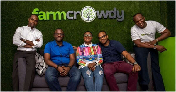 Farmcrowdy : quand le numérique transforme le financement des petites exploitations agricoles au Nigeria