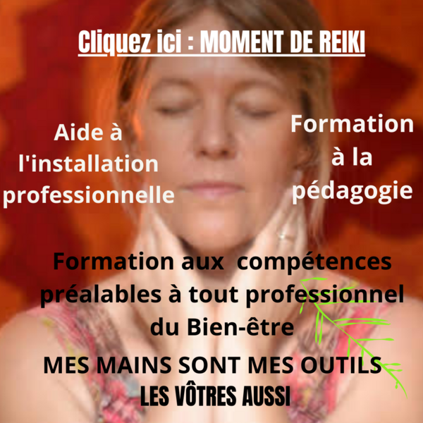 Formation professionnelle